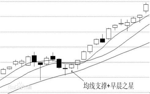 支撑线